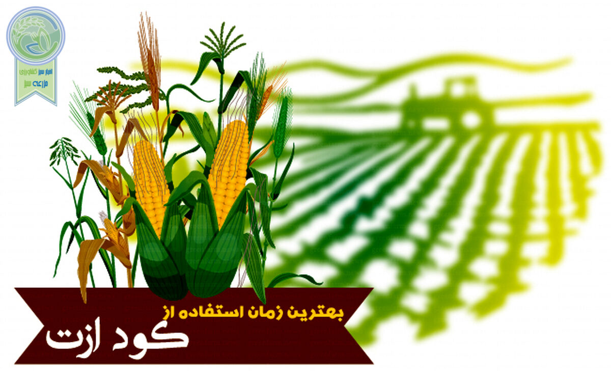 بهترین زمان استفاده از کود ازت

