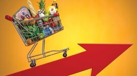 اینفوگرافی میزان افزایش قیمت کالاهای مهم خانوار
