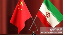 تولد نسل تازه برنج در سایه همکاری تهران–پکن
