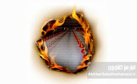 وقتی بحران به سفره مردم می‌رسد؛ فجایع در صنعت مرغداری