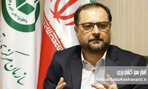 بحران هرمز از کود شیمیایی تا «ضربه مضاعف دلار