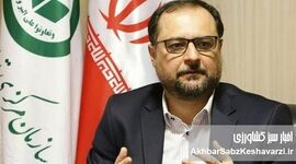 بحران هرمز از کود شیمیایی تا «ضربه مضاعف دلار