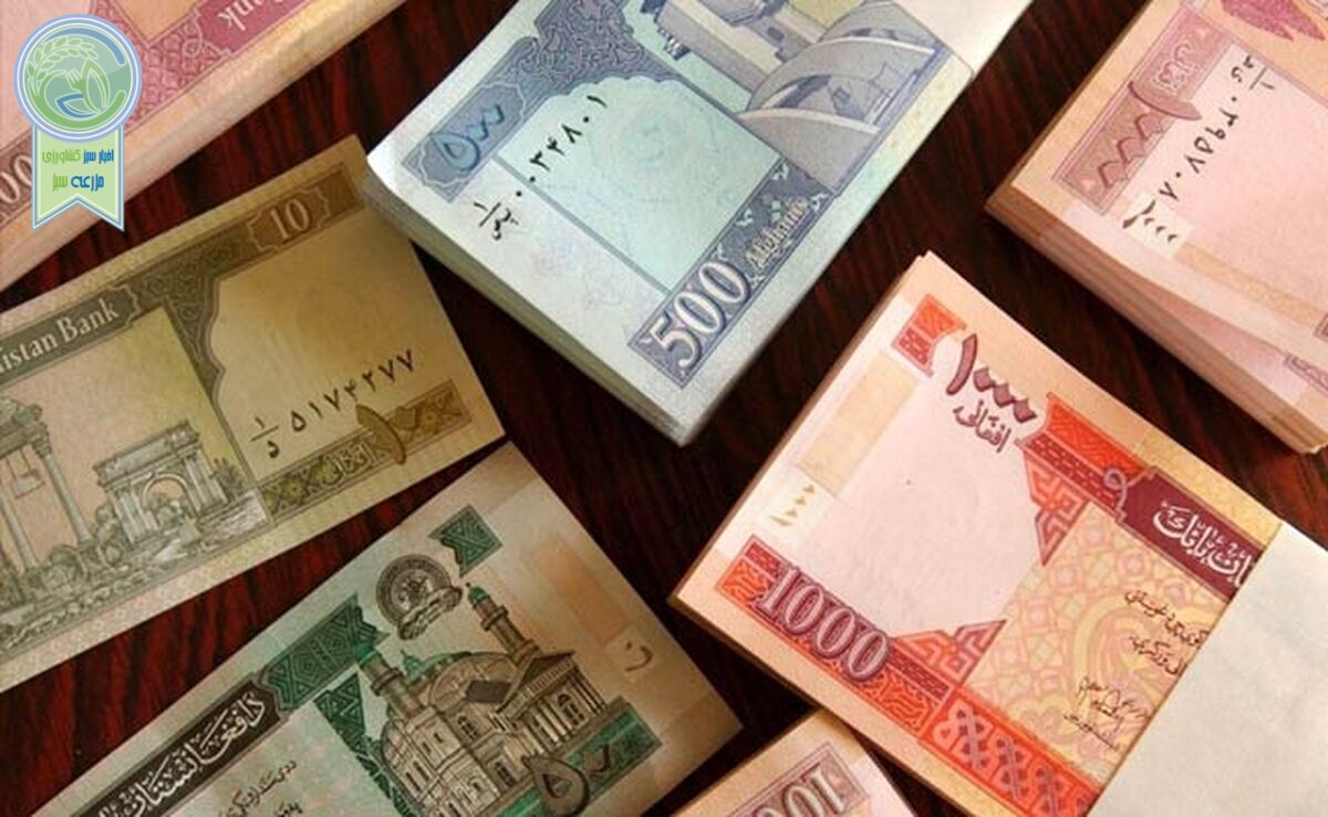 سرمایه‌گذاری ۳ میلیارد دلاری تاجران افغانستانی در ایران  

