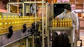 آخرین وضعیت تخصیص ارز به صنعت روغن نباتی

