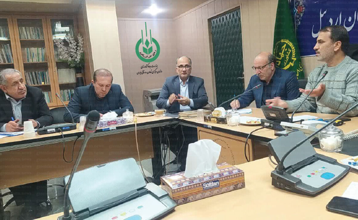امسال یک کیلوگرم امحای سیب‌زمینی نداشتیم

