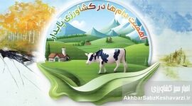 اهمیت دام‌ها در کشاورزی پایدار