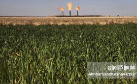 حراج حق‌الناس در خوزستان؛ عوارض آلایندگی صرف حقوق شد!