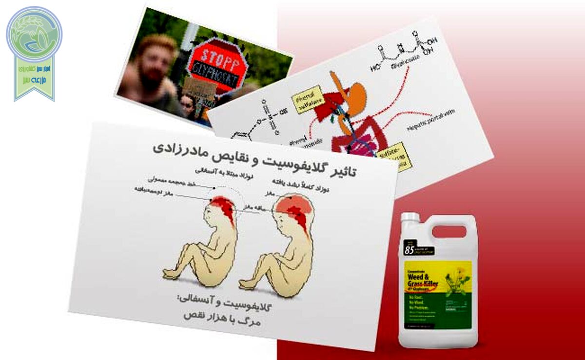 مجادله بی‌سرانجام در استفاده از گلایفوسیت
