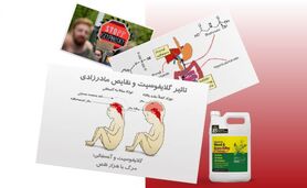 مجادله بی‌سرانجام در استفاده از گلایفوسیت
