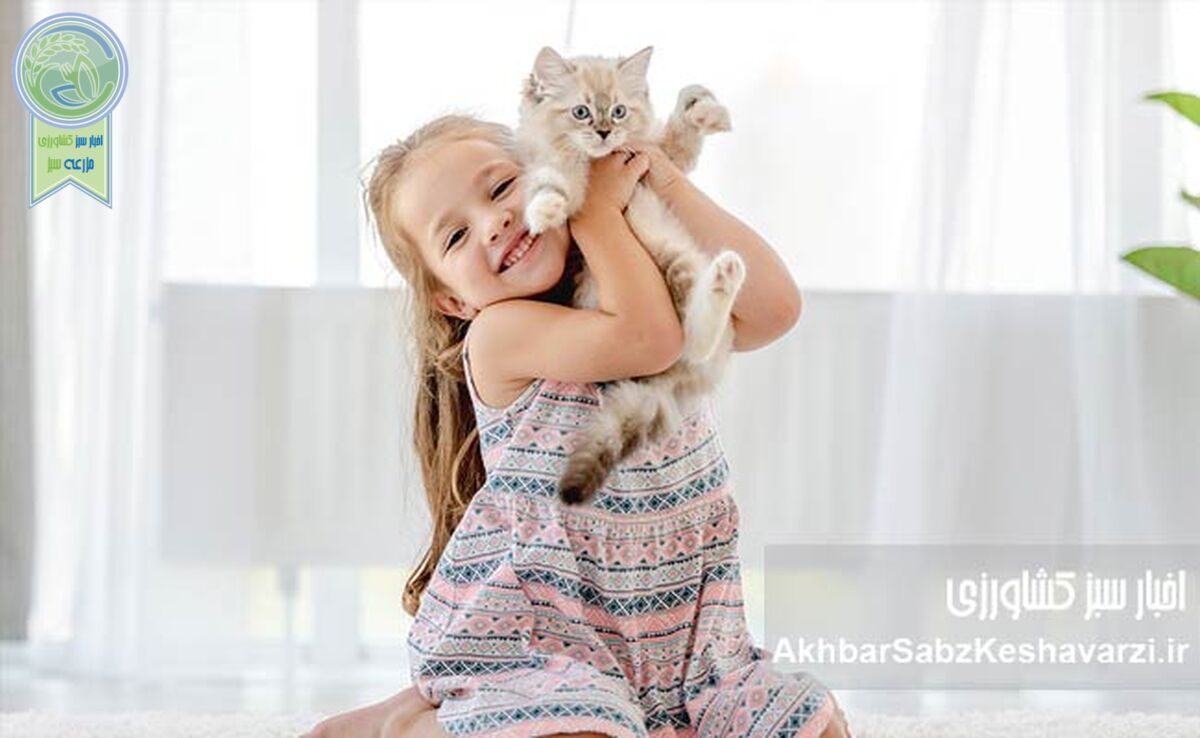 حیوانات خانگی و مزایای نگهداری آنها