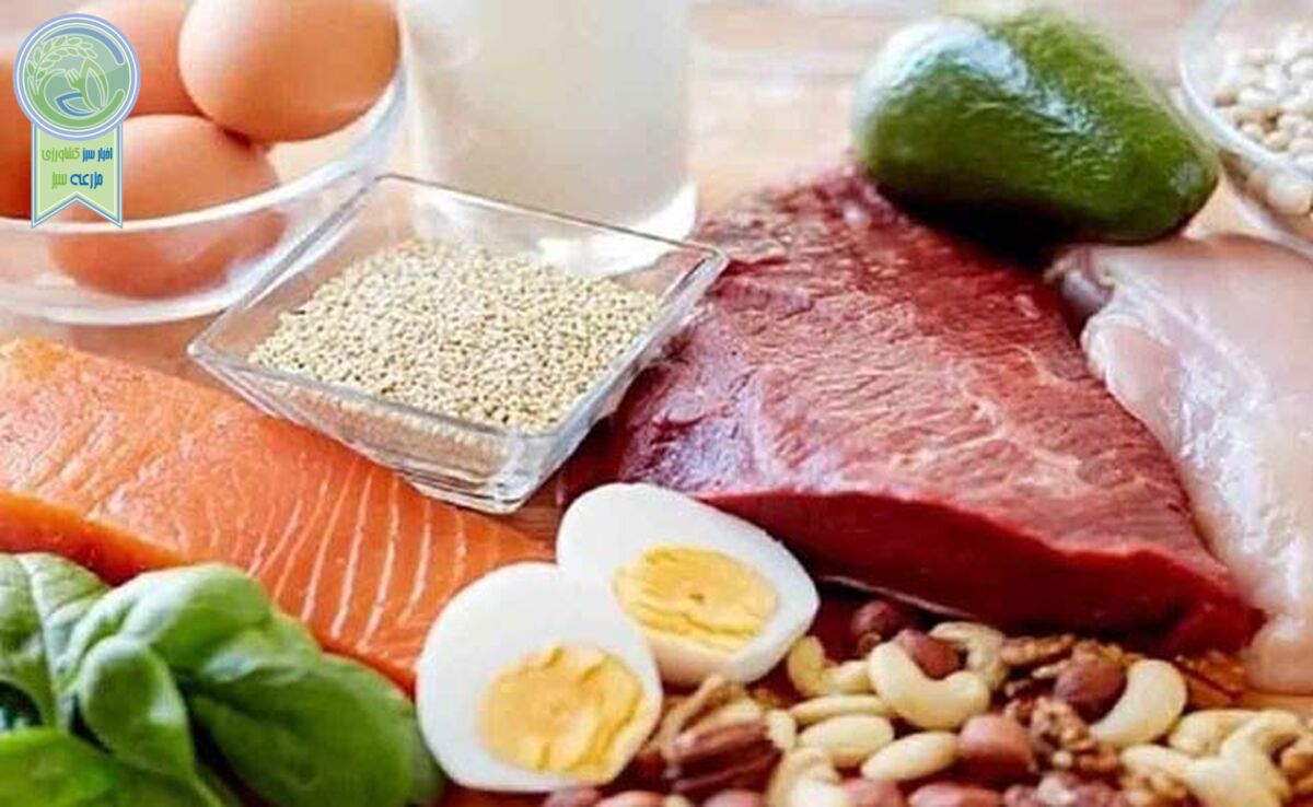 علایم کمبود پروتئین در بدن چیست؟


