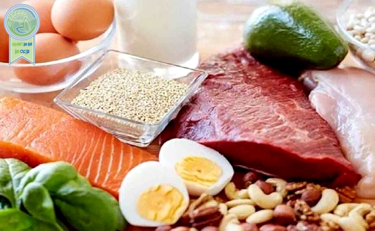علایم کمبود پروتئین در بدن چیست؟

