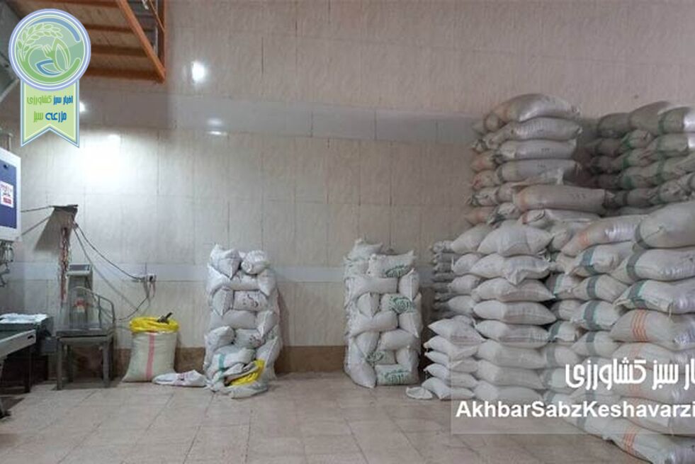 سرنوشت واردات ۶۰ هزار تن برنج تقلبی در دست یاران افشین
