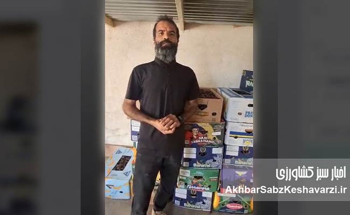 وقتی کیفیت مرز نمی‌شناسد: تجربه موفق تولید پیارم سوپر در نخلستان‌های بهبهان+ ویدئو 