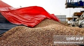 کشف انبار پنهان نهاده‌های دامی و جریمه ۲۷ میلیارد تومانی برای گران‌فروشی و امتناع از عرضه جو وارداتی
