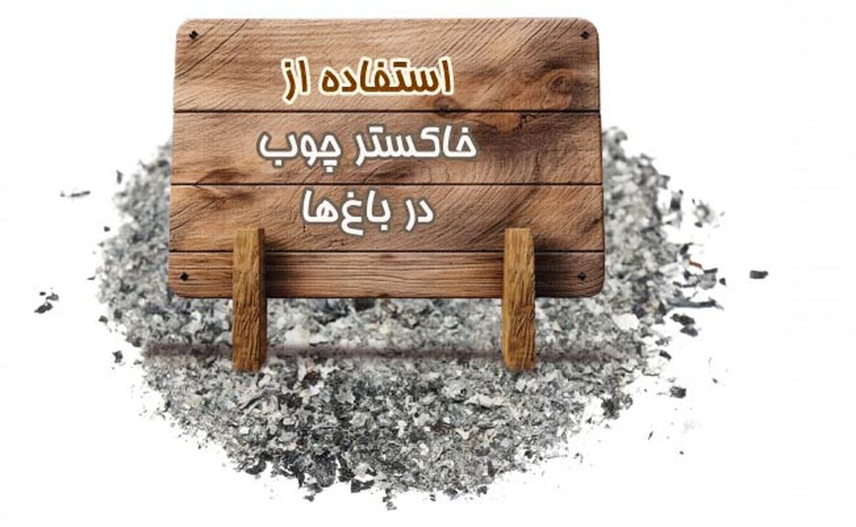 استفاده از خاکستر چوب در باغ‌ها+اینفوگرافی

