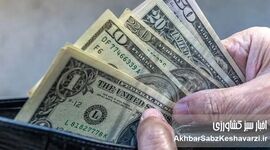نوسان شبانه قیمت دلار با شایعات مذاکرات؛ جهش ۸هزارتومانی در یک ساعت
