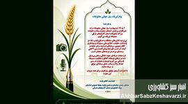 تبریک روز جهانی مطبوعات؛ ارج‌گذاری به رسالت اصحاب رسانه در پاسداشت حقیقت و آگاهی