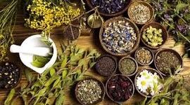 نقشه راه سرمایه‌گذاری در گیاهان دارویی؛ پرسودترین گونه‌ها با مصرف آب حداقلی