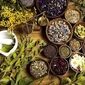 نقشه راه سرمایه‌گذاری در گیاهان دارویی؛ پرسودترین گونه‌ها با مصرف آب حداقلی