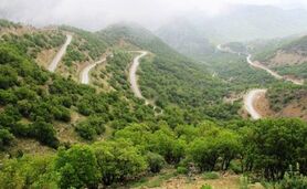 تناقض و سردرگمی در مدیریت زاگرس

