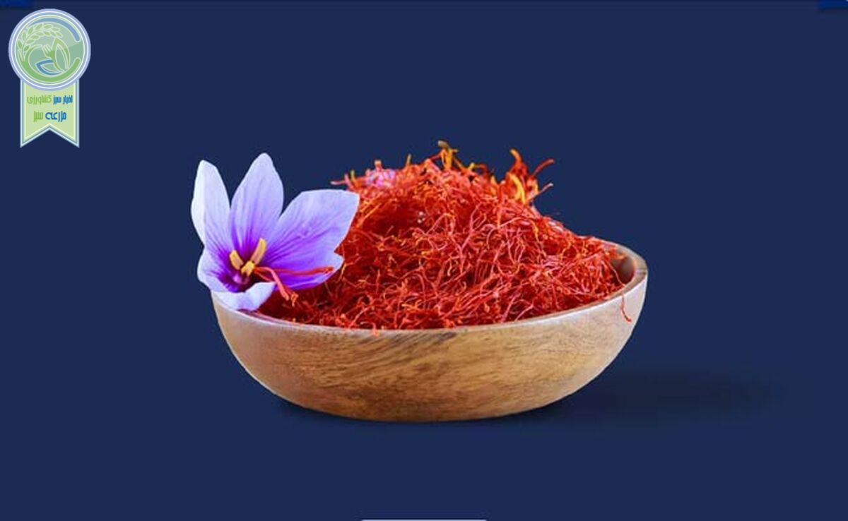 بزرگترین عرضه زعفران در بورس

