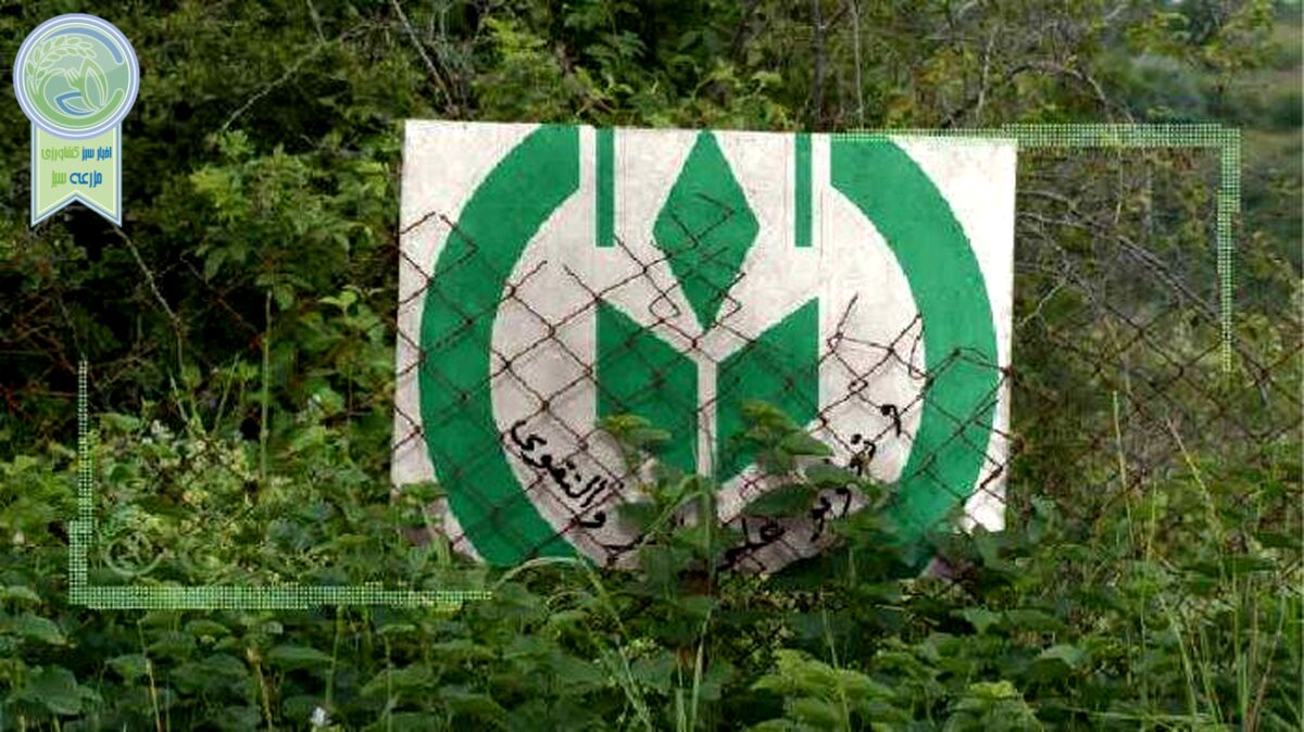 پوست خربزه زیر پای قرارگاه امنیت غذایی+سند