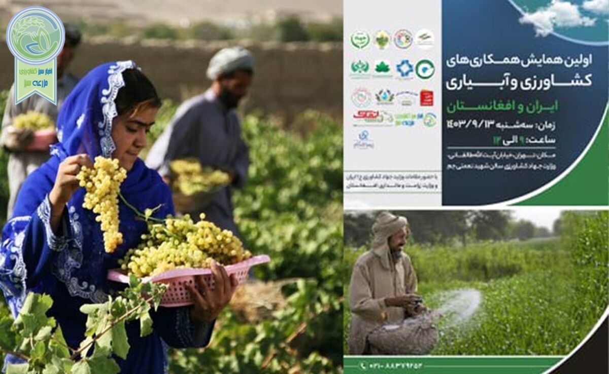 اولین همایش همکاری‌های کشاورزی ایران و افغانستان؛ 13 آذر 1403+ جزئیات

