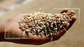 چراغی که به دیگر محصولات رواست