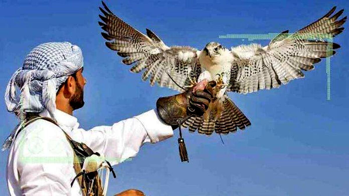 تجارت حیات وحش؛ پر سود و غیرقانونی