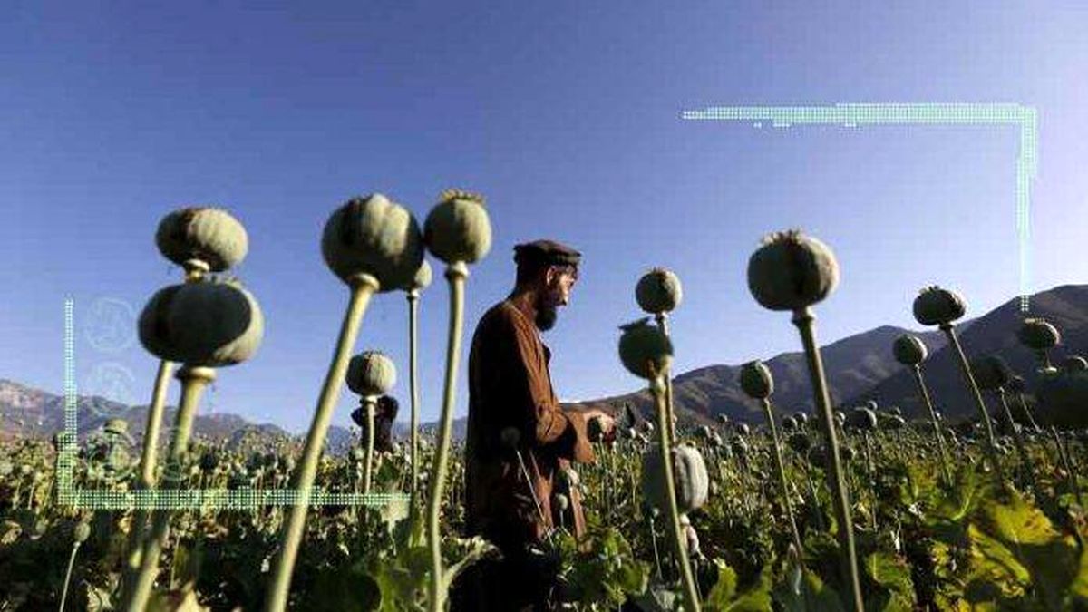 افغانستان مکملی برای کشاورزی ایران