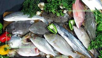 قیمت ماهی در ماه رمضان کاهش یافت