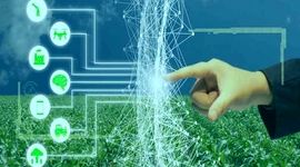 آینده کشاورزی، تلفیقی از تخصص و هوش مصنوعی