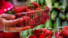 توت‌ فرنگی‌ گلستان نیازمند صنایع تبدیلی