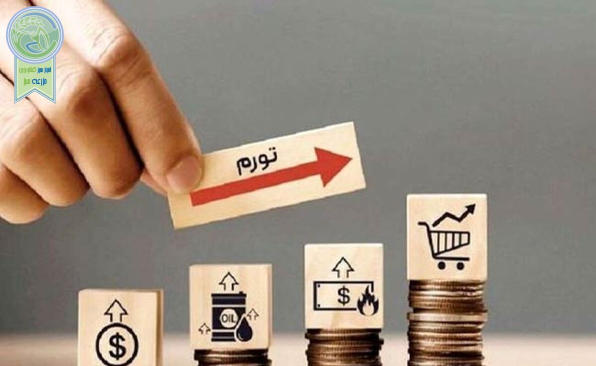 تورم پایان سال ۱۴۰۲ چند درصد است؟

