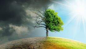 راه‌اندازی کمیته تغییر اقلیم وزارت جهاد کشاورزی به زودی

