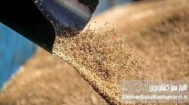 بذر فساد در نهاده‌ها؛ زنگ خطر برای امنیت غذایی و هشدار جدی به دولت و مجلس