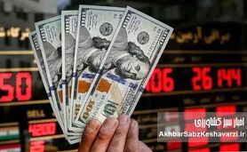 یارانه نقدی و ارز تک‌نرخی؛ ضرورت اقتصادی یا چالش اجتماعی؟