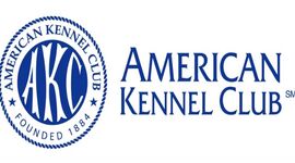 کنل کلاب آمریکایی(AKC)