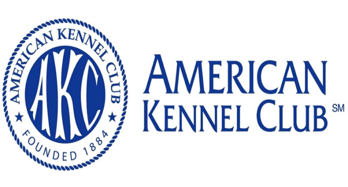 کنل کلاب آمریکایی(AKC)