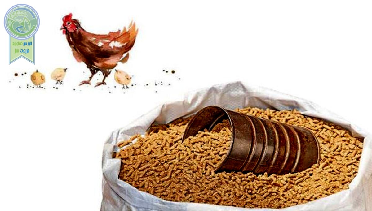 بازارگاه باعث تکریم بیشتر مرغداران شده است