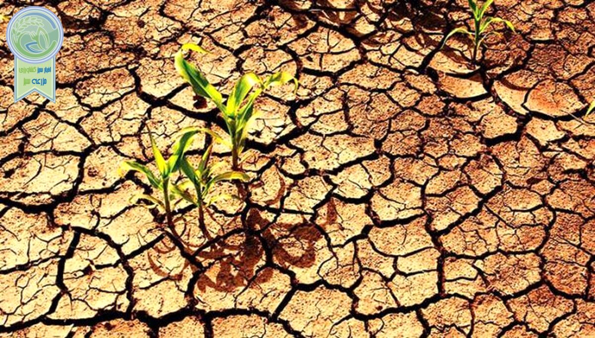 کشاورزی چه ارتباطی با تغییرات اقلیمی دارد؟