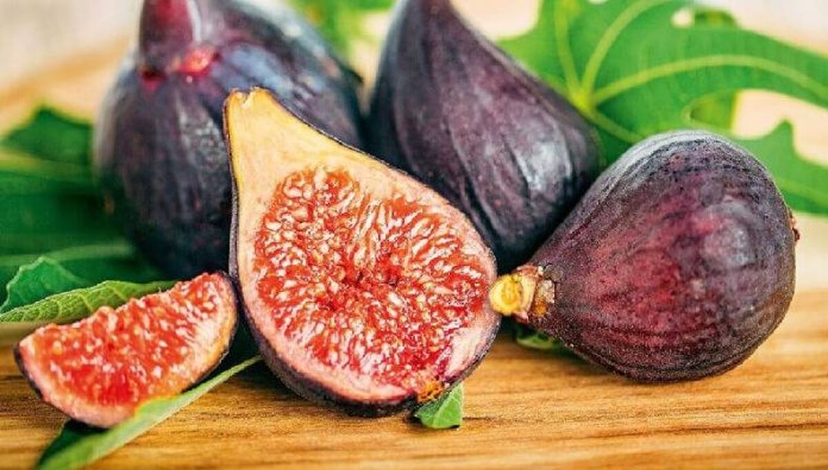 بررسی پتانسیل‌ها و مزیت‌های انجیر ایران