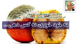ضایع شدن میلیون‌ها تُن محصول در اثر بی‌تدبیری، بی‌تکلیفی و بی‌دانشی