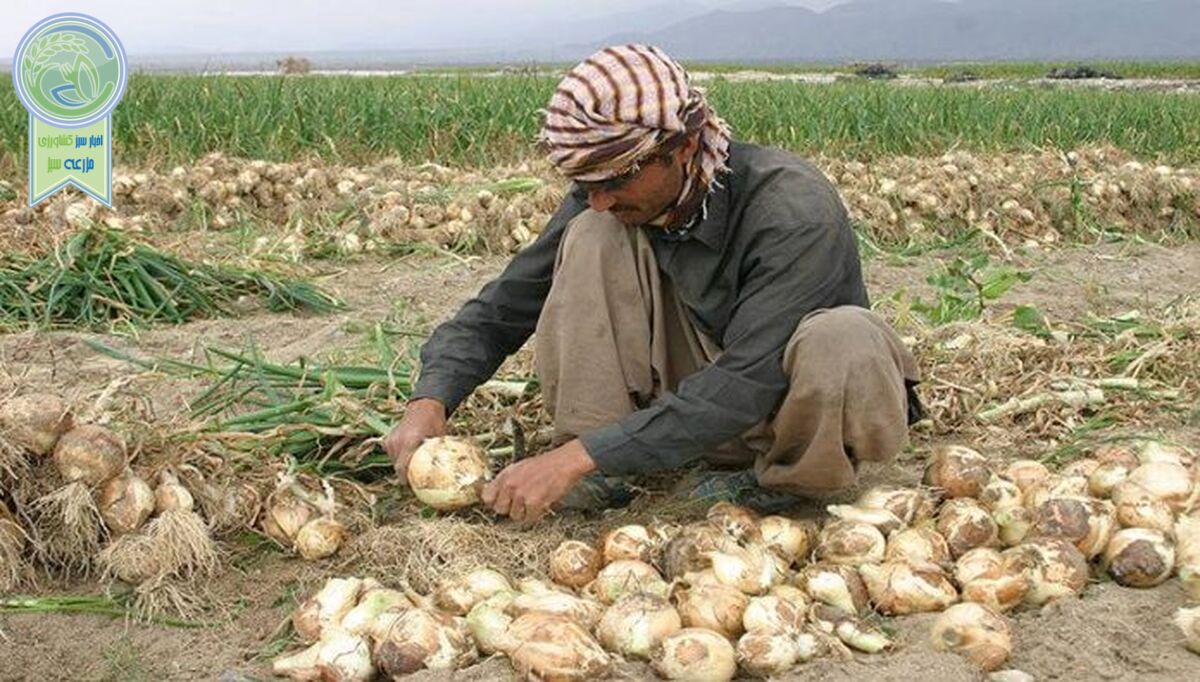 مرثیه ای برای وزیر جهاد کشاورزی دولت سیزدهم