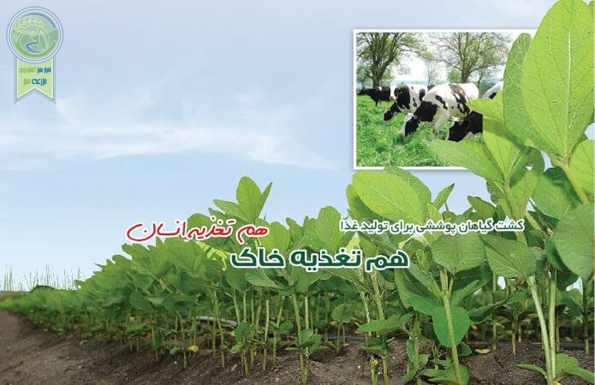 کشت گیاهان پوششی برای تولید غذا