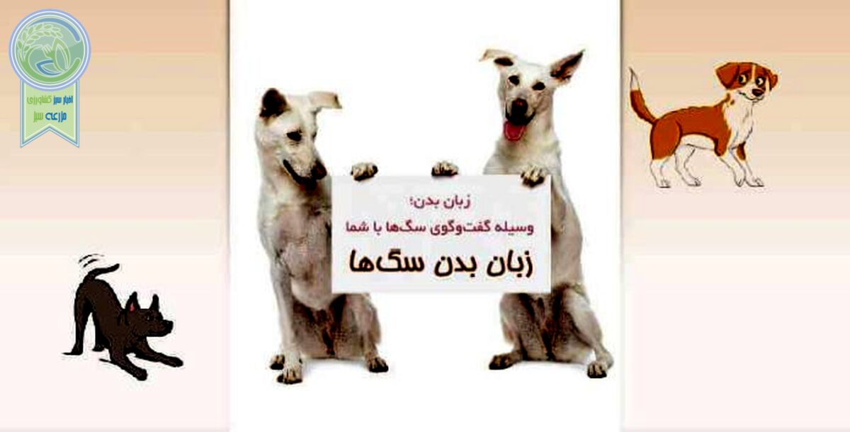 زبان بدن سگ‌ها