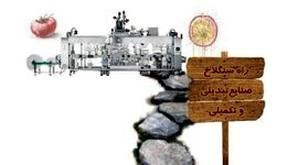 راه سنگلاخ صنایع‌تبدیلی و تکمیلی