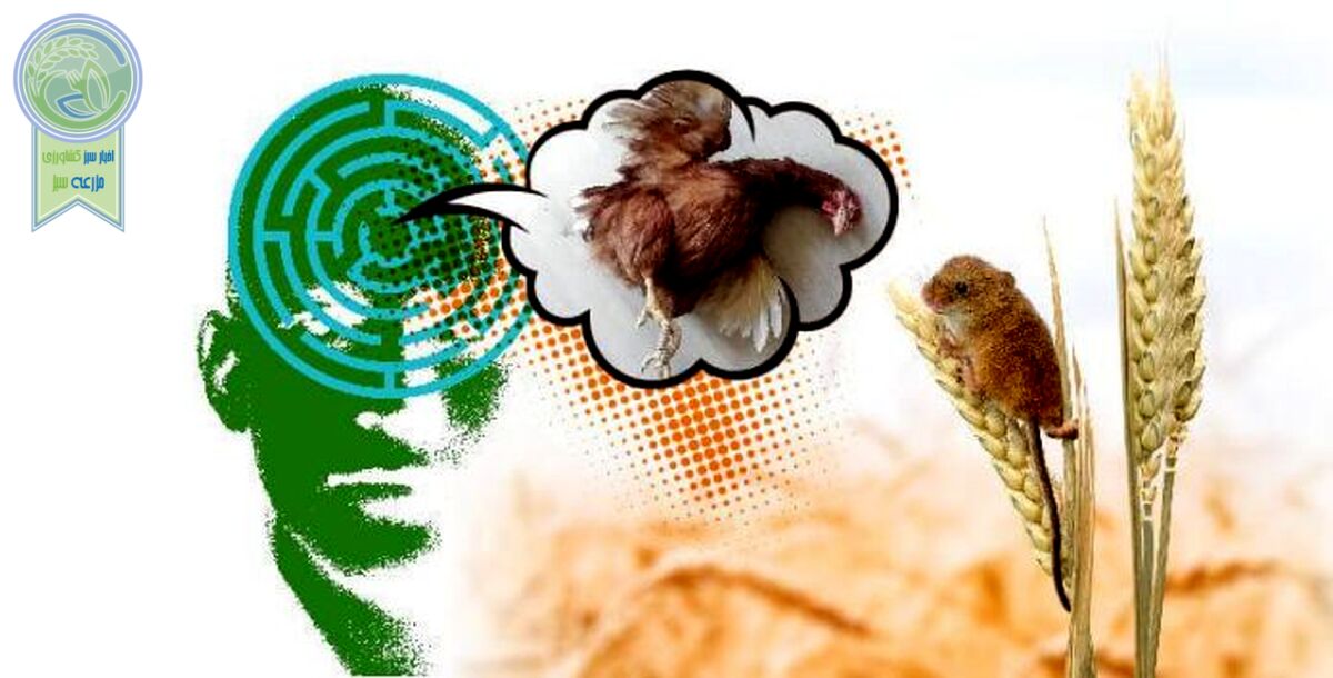 آسیب‌شناسی مدیریت حوزه کشاورزی