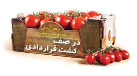 اعلام آمادگی صنایع کنسروسازی برای کشت قراردادی